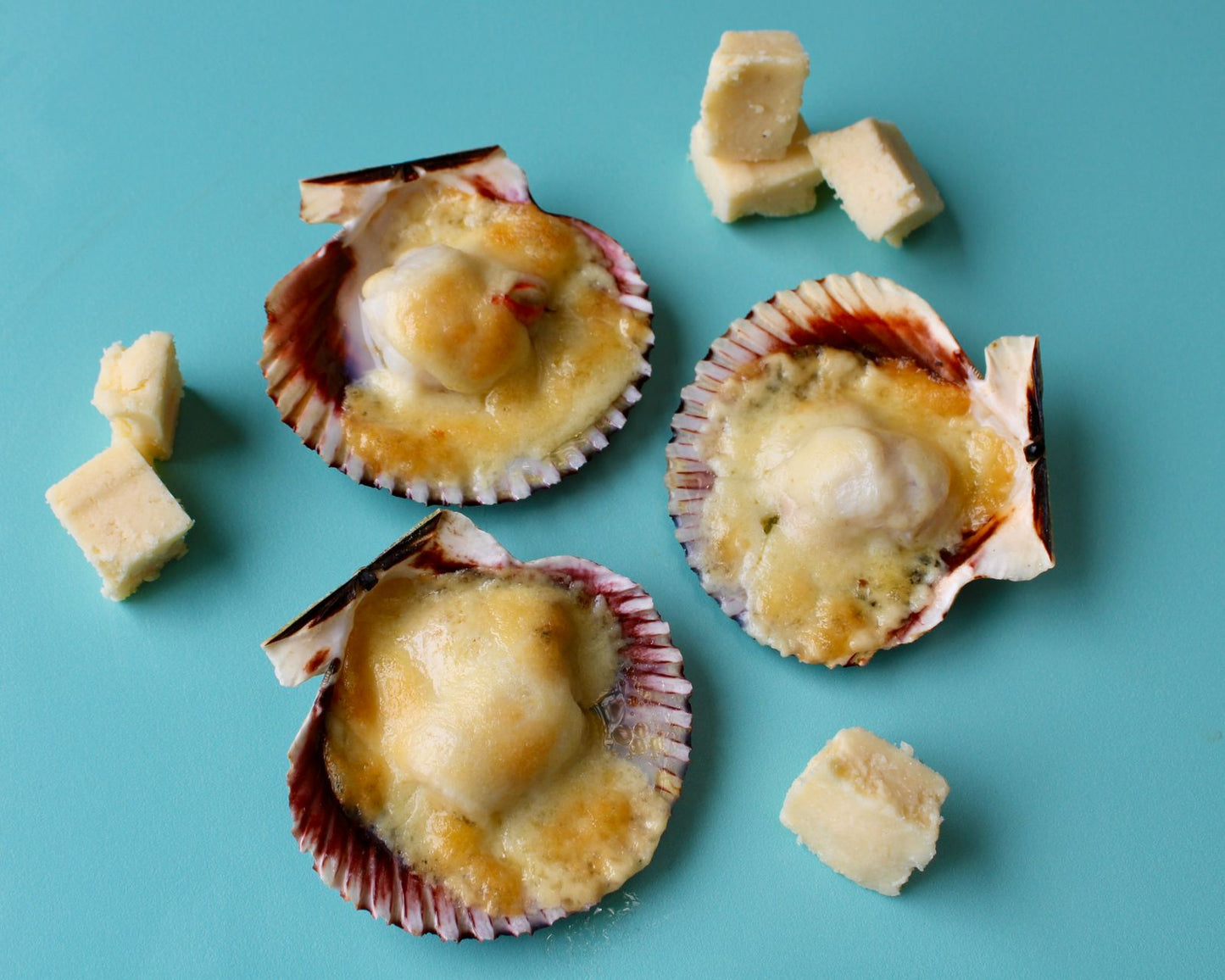 Pack Conchas a la Parmesana