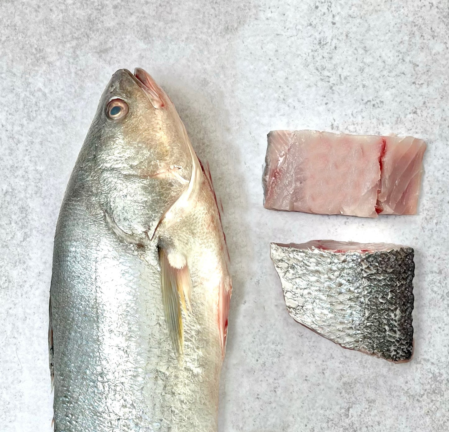 Plan Corvina