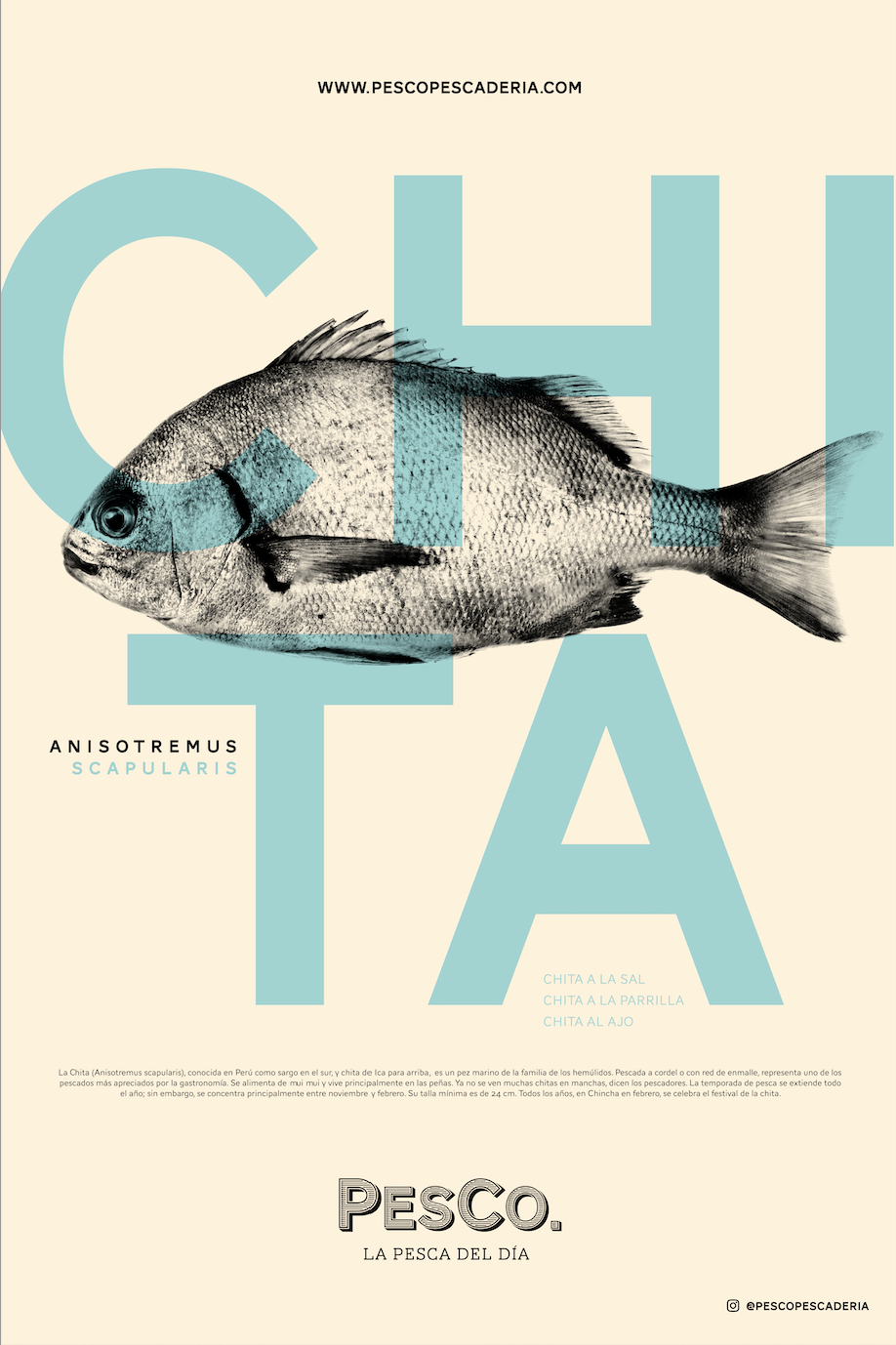 Poster Chita