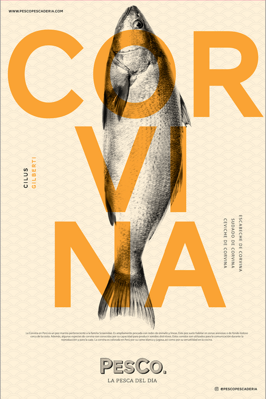 Poster Corvina