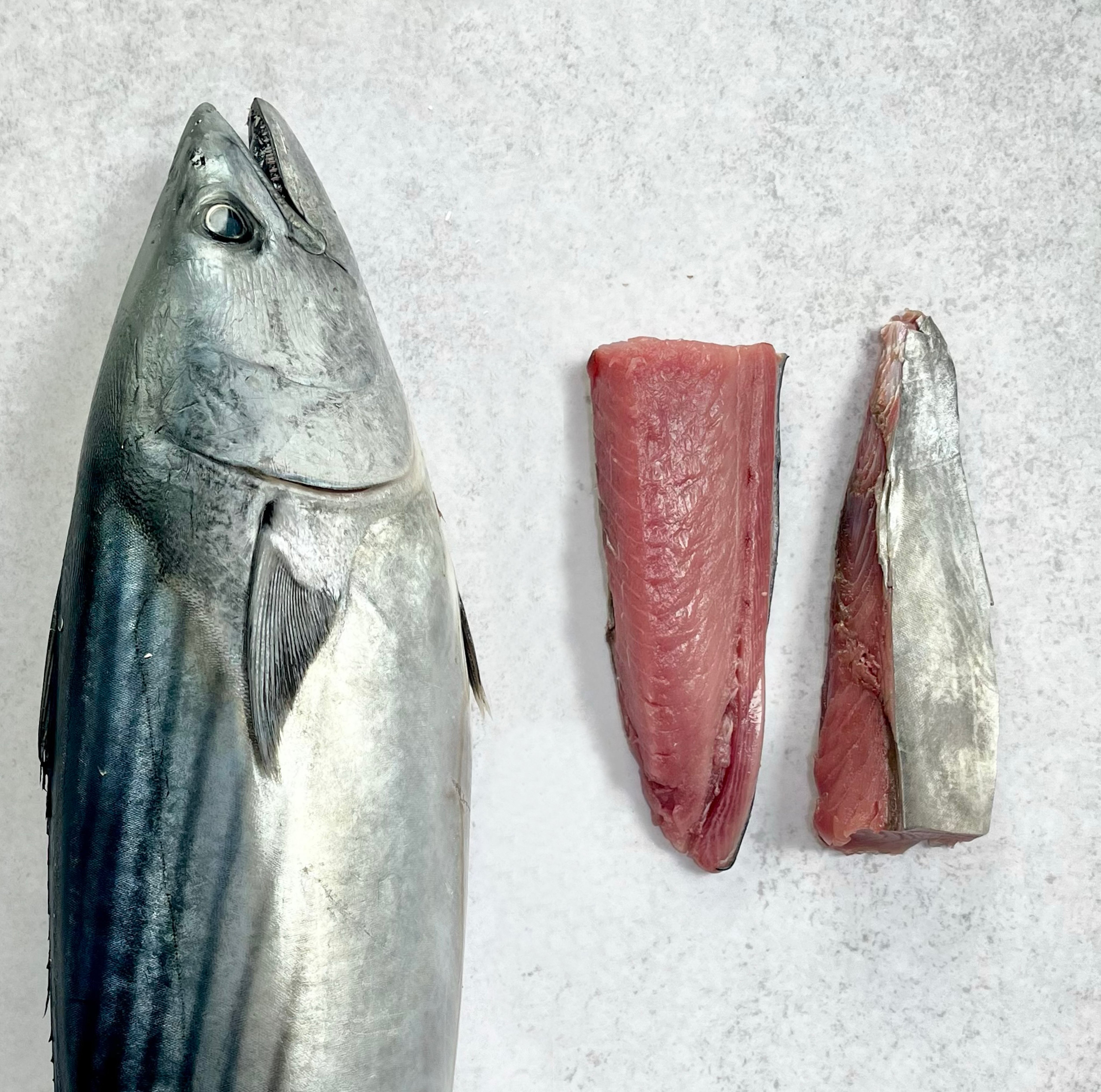Filet Bonito Fish Filete de Bonito (160 g) – Pesco Pescaderia